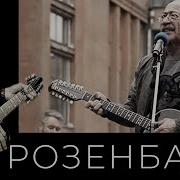 Александр Розенбаум Утиная Охота Ремикс