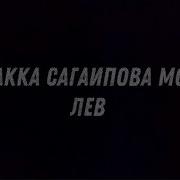 Сагаипова Мой Лев