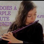 Flute Purple