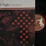 Dance All Night Calyx Remix