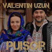 Puisor