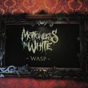 Wasp Motionless In White