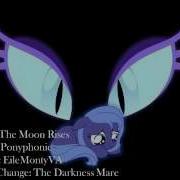 The Moon Rises Filly