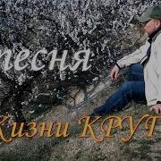 Жизни Круг Виктор Рыжков