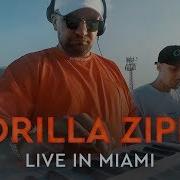 Gorilla Zippo Live In Miami