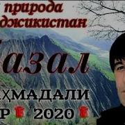 Бехтарин Газали Точики