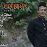 Musik Cobra Reliji