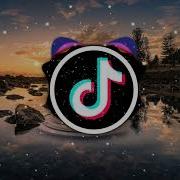 Alfa Tik Tok