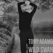 Tony Adamo Wild Swan Extended