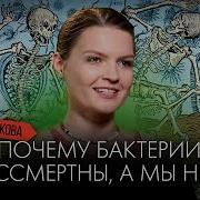 Сударикова Елена