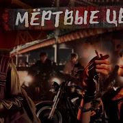 Мертвые Цветы Фф 17