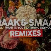 All I Want Is You Feat Keyhole Mason Remix Kraak Smaak