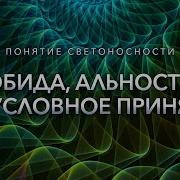 Сорадение Светоносность Свет Подсветка