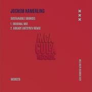 Jochem Hamerling Sustainable Sources