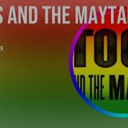 Toots And Maytal Best Mix