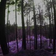 Forest Psytrance Mix Psilostatic