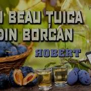 Muzica De Petrecere Eu Beau Tuica Din Borcan