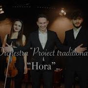 Orchestra Project Traditional Hora