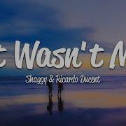 Shaggy It Wasn T Me Lyrics