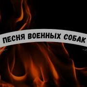 Песня Военных Собак