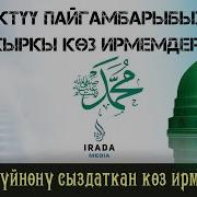 Пайгамбарыбыздын Акыркы Көз Ирмемдери