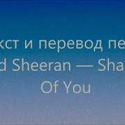 Перевод Песни Ed Sheeran Shape Of You Текст Слова Шейп Оф Ю На Русском