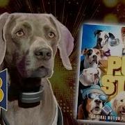 Air Bud Tv Pup Star Song Broken Hearted Children S Songs Sing Along