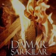 Damar Sarkilar