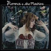 Bird Song Florence And The Machine