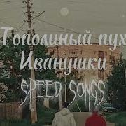 Тополиный Пух Speed Up