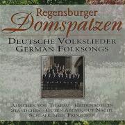 Waldesnacht Deutsches Volkslied German Folk Song