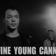 Fine Young Cannibals She Drives Me Crazy Archive Ina