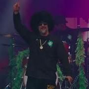 Live Cypress Hill