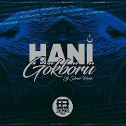 Hani Gökbörü Trap Mix Efe Demir Mix