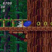 Sonic 2 Zone Wood