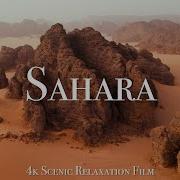 Relax Sahara