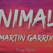 Animals Martin Garrix Audio Only