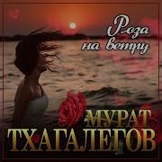 Роза На Ветру