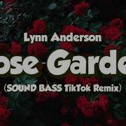 Rose Garden By Remix