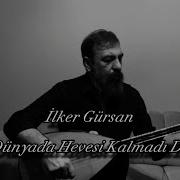 Ilker Gürsan