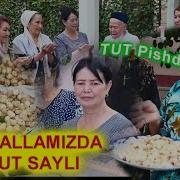 Tut Sayli Xorazm