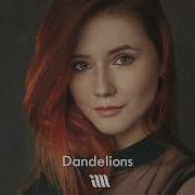 Dandelions Imazee