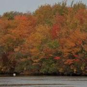 Les Feuilles Mortes Autumn Leaves Richard Clayderman