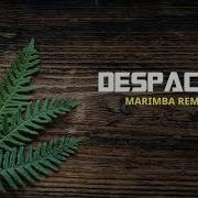 Despacito Marimba Remix My Version