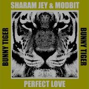 Sharam Jey Perfect Love