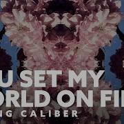 Loving Caliber You Set My World On Fire