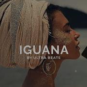 Iguana Reggaeton Instrumental