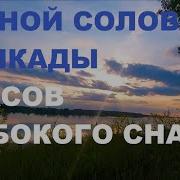 Под Пение Ночного Соловья