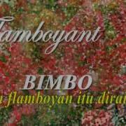 Bimbo Flamboyan