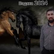 Паво Баленко И Вэдэха 2025